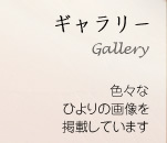 ギャラリー